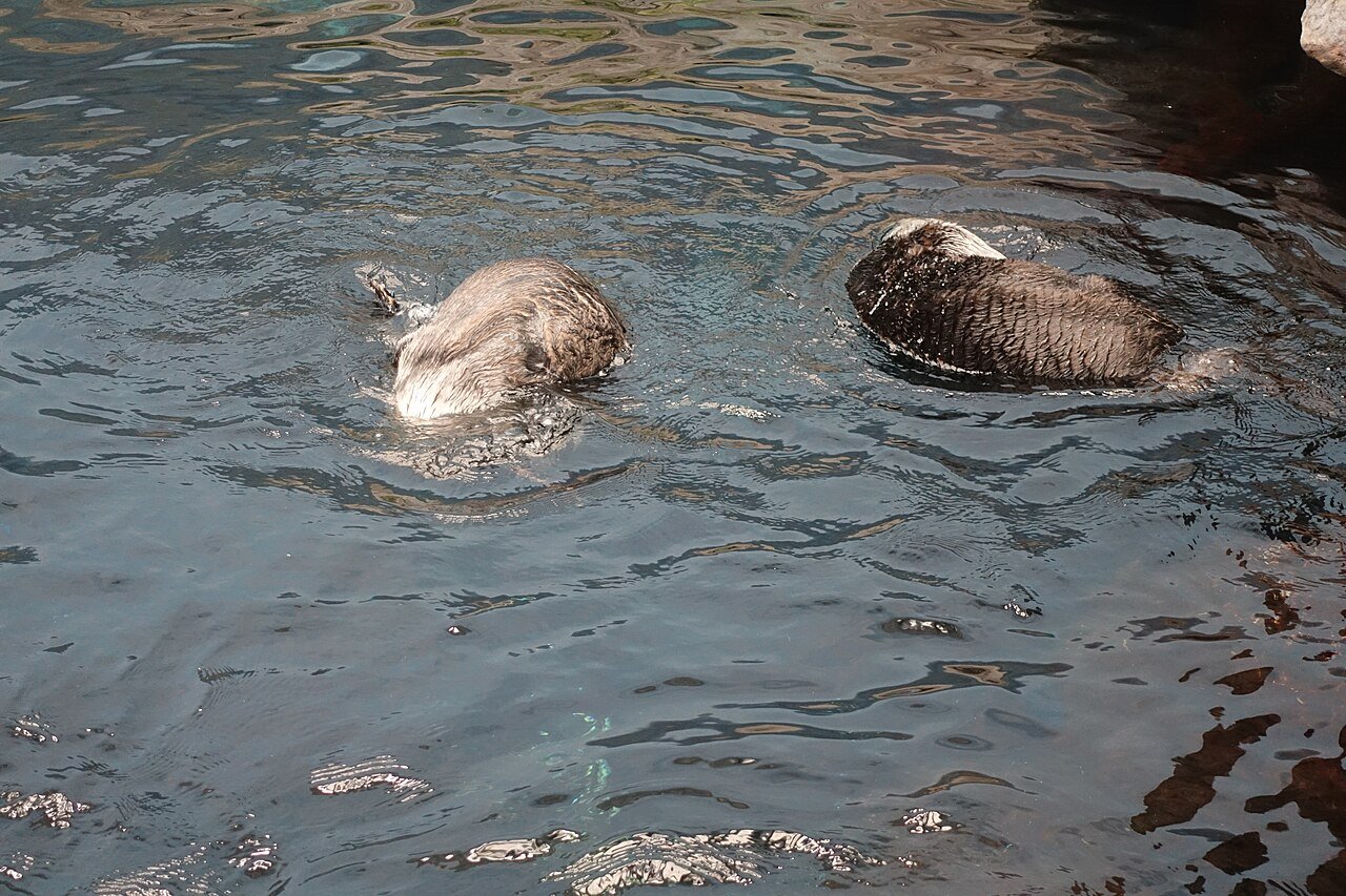 Ocean&aacute;rio de Lisboa